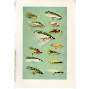 c. 1966 FLY FISHING lithograph - fly tying print - original vintage prints- fresh water angling - trout salmon bass - print for angler