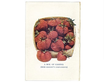 1880年頃 アンティーク植物画 リトグラフ - オリジナルのアンティーク