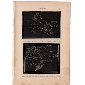 1884 ANTIQUE CONSTELLATION FIGURES Druck original antike Tierkreis Astronomie Lithographie - leo ursa bootes