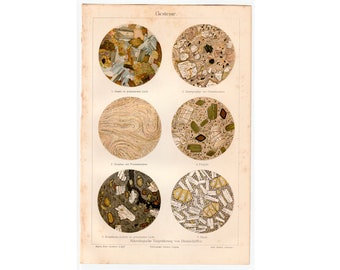 Könnte beinhalten: Eine alte wissenschaftliche Illustration von sechs verschiedenen Gesteinsarten, die auf Deutsch beschriftet sind. Die Illustration zeigt Nahaufnahmen der Gesteine unter dem Mikroskop. Die Gesteine sind wie folgt beschriftet: 1. Gneis in polarisiertem Licht, 2. Quarzporphyr mit Feldspatkristallen, 3. Obsidian mit Feldspatkristallen, 4. Porphyr, 5. Hornblende-Andesit in polarisiertem Licht, 6. Basalt.
