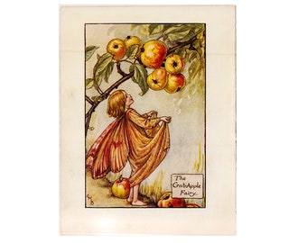 c. 1935 CRABAPPLE FLOWER FAIRY lithograph • original vintage print • botanical print • flower garden • orange flower fairies print •