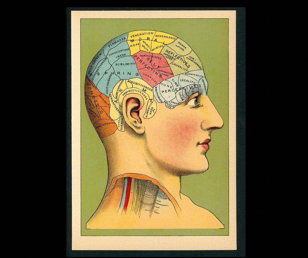 1920年代の希少な アンティーク版画 1920年代の希少な アンティーク版画 【公式通販】