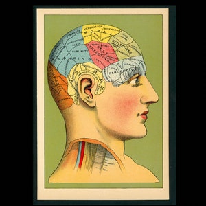 c. 1920 PHRENOLOGY CHART Print - original antik Druck - Menschliche Natur Emotionspsychologie des Menschen - Studie des Charakters selten!