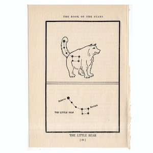 H. Der kleine Bär von 1944 - original vintage Astronomie Druck - Sternbild - Sternbild - der kleine Bär - Print