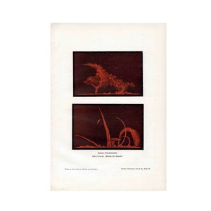 C. 1900 SUN PROTUBERANCES lithografie • originele antieke print • hemelse print • astronomie print • de zonneprint
