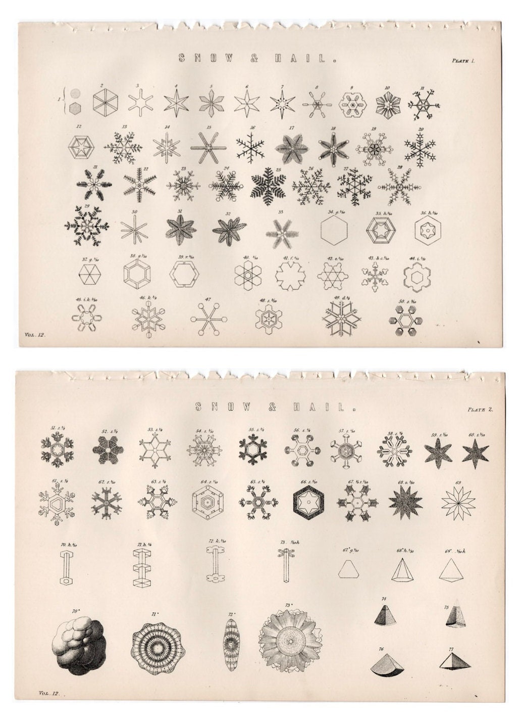 2CD！BROWN SUGAR＆WHITE SNOW/100 YEARS AGO 2CD！BROWN SUGAR＆WHITE SNOW/100 YEARS AGO Morning Sun Books