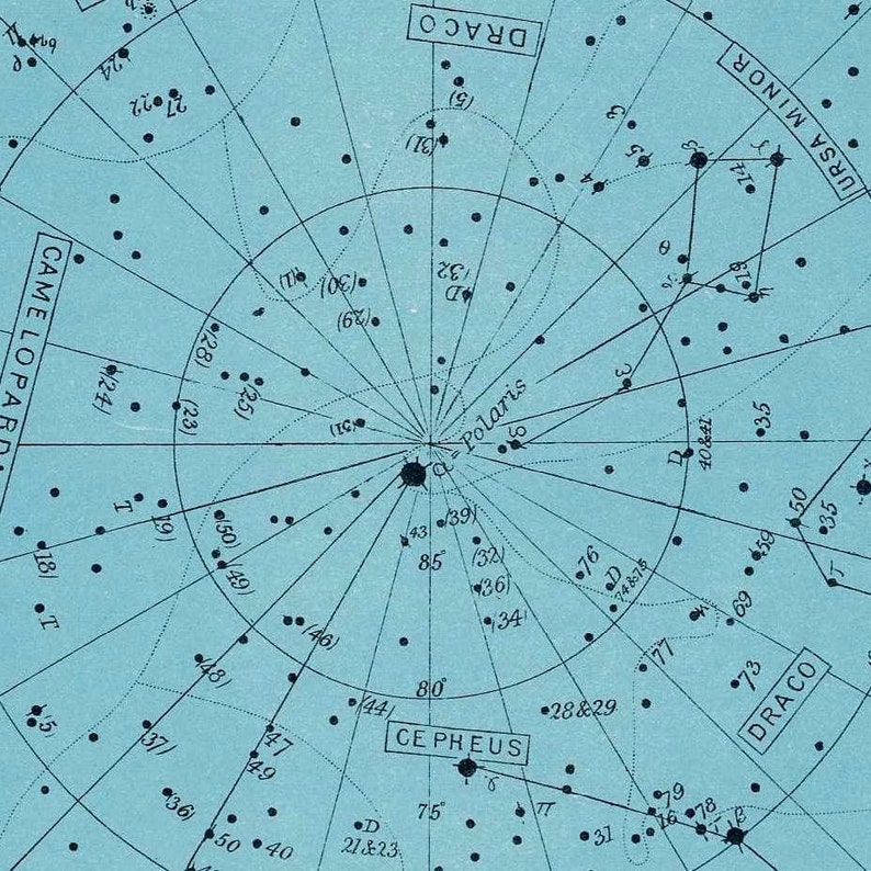 c. 1955 STAR MAP 51 original antique PRINT celestial print astronomy print constellation of North Pole Northern Hemisphere stars image 3