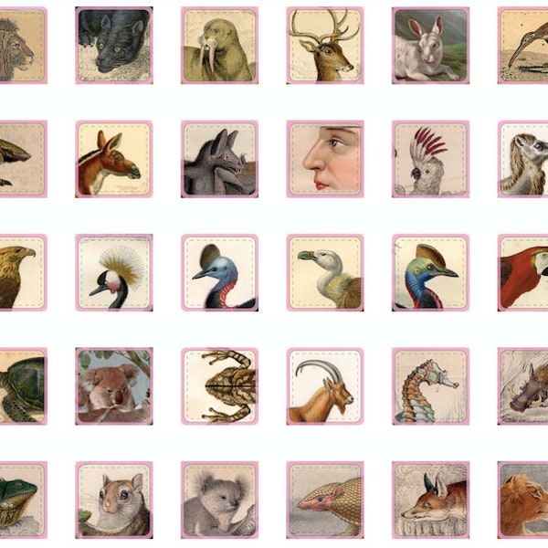 set of 90 MINI • ANIMAL HEAD stickers - mini moo stickers - 90 different animal heads - antique & vintage animal images - vinyl stickers
