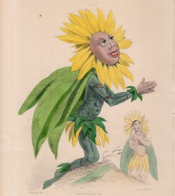 C. 1867 SUN FLOWER PERSONIFIED Engraving • Original Antique Print