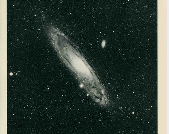 il_340x270.442033399_oghg.jpg