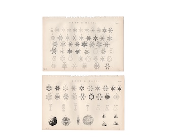 c. 1880 SNOW CRYSTAL lithographs • set of 2 original antique prints • winter weather • snow flakes • snow storm print • meteorology