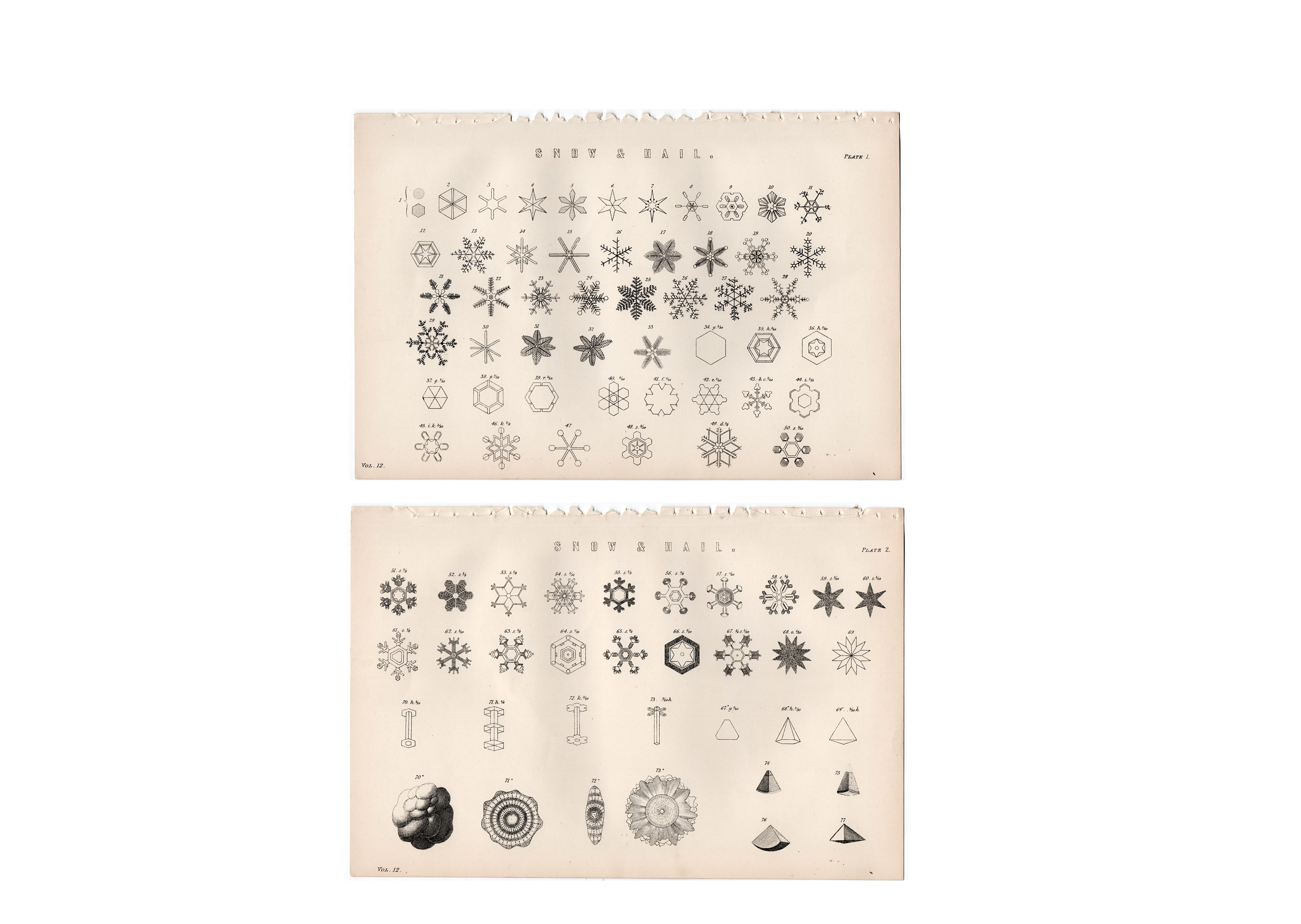 2CD！BROWN SUGAR＆WHITE SNOW/100 YEARS AGO 2CD！BROWN SUGAR＆WHITE SNOW/100 YEARS AGO Morning Sun Books
