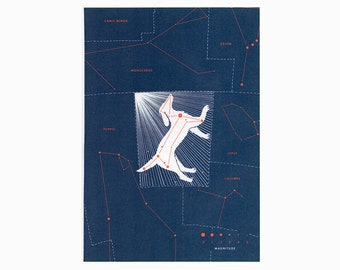 Litografia KONSTELACJI WIELKIEGO PSA ok. 2014 r. • oryginalny wydruk vintage • wydruk niebiański • wydruk astronomiczny • znak zodiaku • duży pies