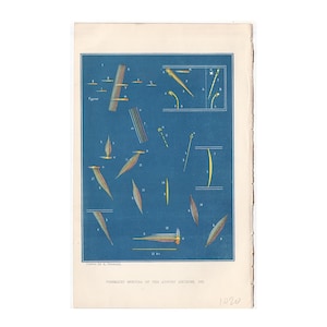 H. 1868 PRISMAT-SPECTRA des METEORS Gravur • antiker Originaldruck • Astronomie • Himmelskörper • Meteoriten • Farben eines Meteoriten