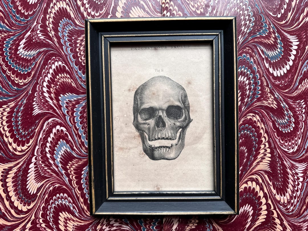C. 1837 FRAMED SKULL Lithograph • Original Antique Print • Human ...