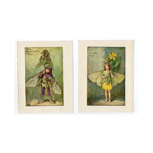 c. 1935 FLOWER FAIRY lithographs • set of 2 original vintage prints • botanical • flower garden • flower fairies • dead nettle & celandine