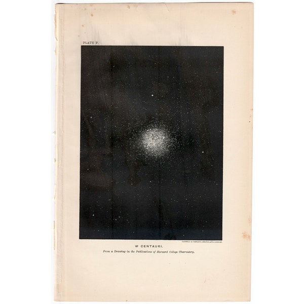 C. 1891 OMEGA CENTAURI lithograph • original antique print • celestial • astronomy print • a star in constellation Centaurus • the Centaur