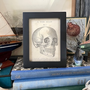 May include: Black framed print featuring a detailed anatomical illustration of a human skull labeled "THE HEAD." The print is in black and white, with the skull's bone structure clearly visible. The frame is a simple, matte black.
