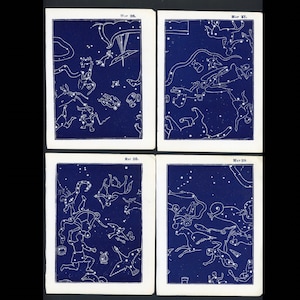 C. 1950 CONSTELACIONES DEL SUR - conjunto de 4 litografías de astronomía antiguas - grabados antiguos originales • mapas estelares • grabados celestes • cielo nocturno