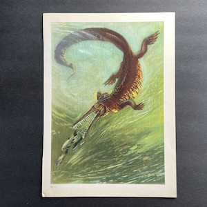 c. 1960 UNDERWATER PREHISTORIC LANDSCAPE lithograph • original vintage print • extinct animals • dinosaur scene • Paleo Art •Mesosaurus