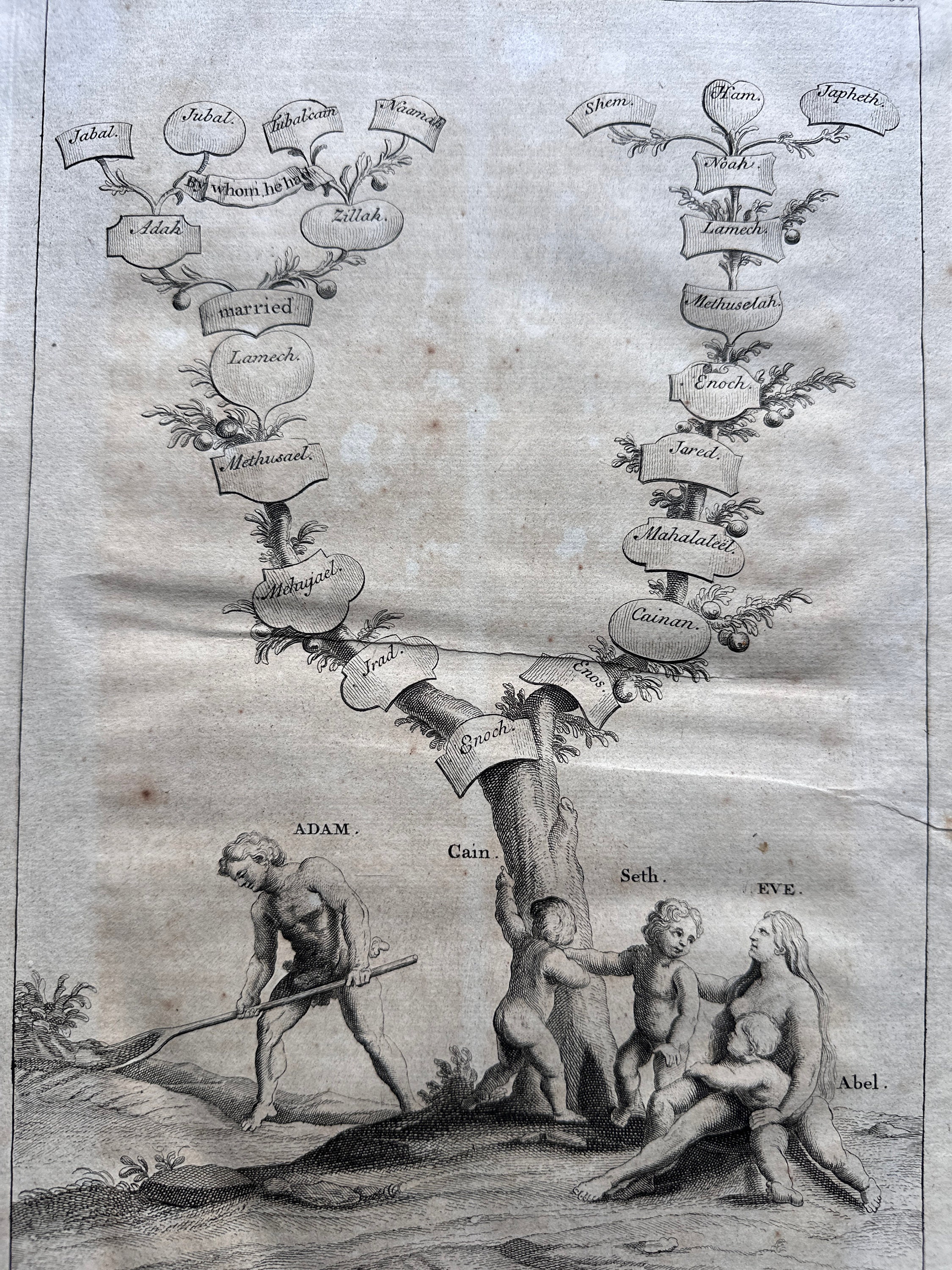 MEXICO アダムとイブ 生命の木 禁断の果実 シルバー925 リング ナバホ アダムとイブの家系図の版画 1732年頃 • オリジナルのアンティーク版画