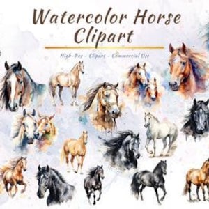 Horse PNG Collection | Horse Head, Equestrian, Horses Clipart Bundle