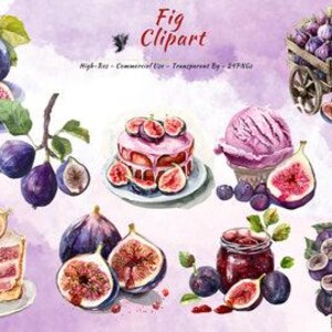 Feige Clipart PNG Sammlung | Lebensmittel und Obst Bilder