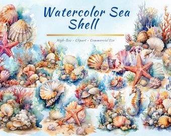 Seashell Clipart Bundle, Watercolor Ocean Starfish Coral Nautical Beach PNG (20 PNGs)