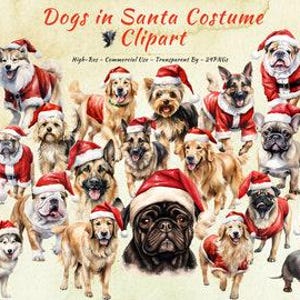 Santa Hunde PNG Sammlung | Niedliche, lustige Weihnachtshunde