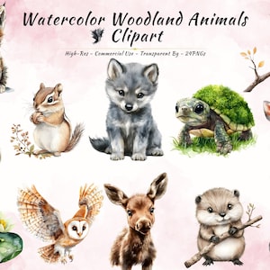 Lot de cliparts animaux des bois | Créatures de la forêt à l'aquarelle | 24 images PNG | Téléchargement numérique haute résolution | Fond transparent