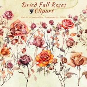 Collection de cliparts roses séchées bohèmes d'automne | Graphismes roses et éléments de mariage