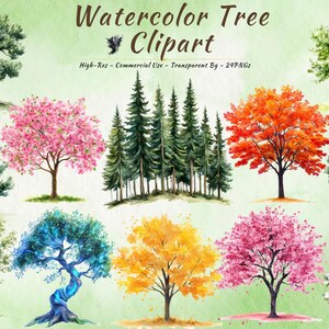 Bundle de cliparts arbre - arbre forestier peint à la main PNG - cerisiers en fleurs automne - pin à feuilles persistantes, bouleau - art numérique pour sublimation