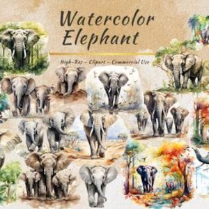 Collection PNG d'éléphants | Lot de cliparts éléphanteau, jungle et animaux de safari