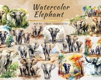 Baby Elefant Clipart Bundle, Aquarell Safari Kinderzimmer Dschungel Tiere (24 PNGs)