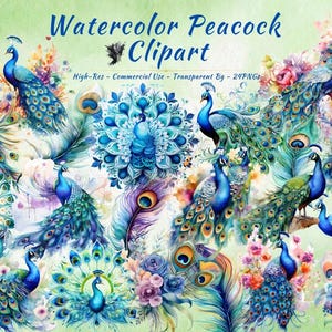 孔雀 PNG クリップアート コレクション | 見事な鳥、孔雀の羽、孔雀の曼荼羅画像バンドル
