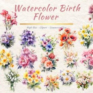 Fleur de naissance PNG Collection | Clipart fleur de naissance aquarelle | Images botaniques