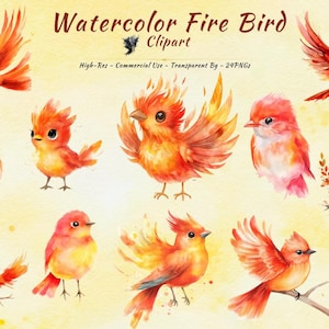 Clipart vuurvogels | Aquarel feniksvogel, png | Fantasievogelillustratie | Transparante achtergrond met hoge resolutie | Digitale download