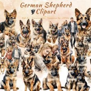 German Shepherd Clipart Bundle, Realistic Dog Breed Art Portraits (24 PNGs)