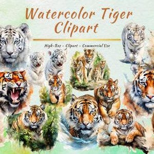 Collection de cliparts PNG Tigre | Images d'animaux de safari dans la jungle