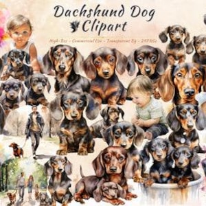 Dackel PNG Clipart Sammlung | Hunderasse, Welpe, Hundegesicht, Hundeliebhaber Clipart Bundle