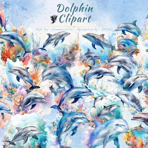 Colorful Dolphins PNG Clipart Collection | Sea Life, Nautical, Ocean, Animal Clipart Bundle