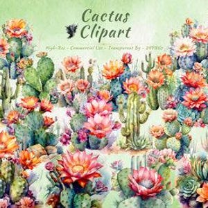 Colección de imágenes prediseñadas de cactus PNG / Paquete de imágenes prediseñadas de cactus, botánicos y florales del desierto