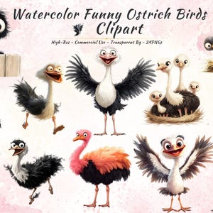 Clipart de avestruz divertido - 24 PNG descarga digital - Pájaros de dibujos animados lindos de acuarela - Fondo transparente - Uso comercial