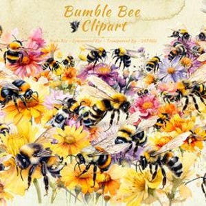 Bee PNG Clipart Collection | Bumble Bee, Honey Bee, Queen Bee Clipart Bundle
