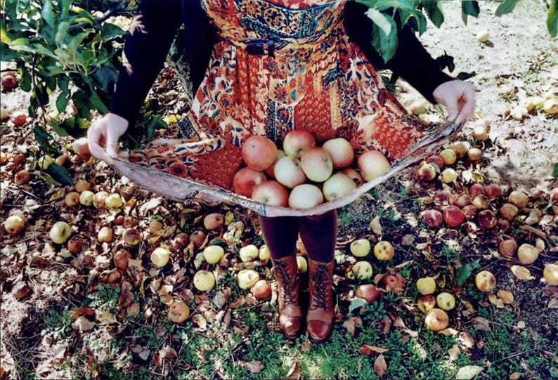 May include: A person wearing a patterned orange, red, and blue dress with a black cardigan and brown lace-up boots, holding a collection of fresh red and green apples in the gathered fabric of the dress skirt while standing in an orchard.
