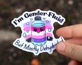 Pegatina divertida de género fluido, pegatina del orgullo LGBT, pegatina queer, pegatina gay, chiste deshidratado, regalos LGBTQ, arte queer
