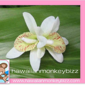 MINI Double White & Green ORCHID Hair CLIP . . .