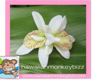 MINI Double White & Green ORCHID Hair CLIP . . .