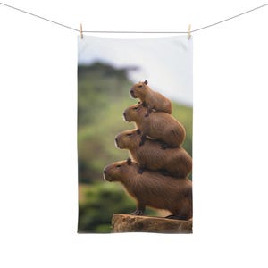 Op de afbeelding: Een witte rechthoekige handdoek die aan een waslijn hangt, met een stapel van vier capibara's. De capibara's zijn bruin en op elkaar gestapeld. De achtergrond is een vage groene en witte kleur.