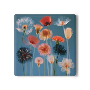 Könnte beinhalten: Ein quadratischer Wandkunstdruck mit einer botanischen Komposition im Röntgenstil, die verschiedene Blumen und Samenstände in Rot-, Orange- und Weißtönen vor einem einfarbigen blauen Hintergrund zeigt, mit zarten, durchscheinenden Blütenblättern.